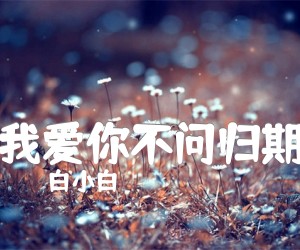 《我爱你不问归期吉他谱》_白小白_B调_吉他图片谱3张