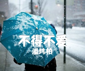 《不得不爱吉他谱》_潘玮柏_G调_吉他图片谱2张