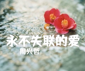 《永不失联的爱吉他谱》_周兴哲_未知调_吉他图片谱2张