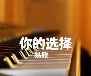 《你的选择吉他谱》_易欣_F调_吉他图片谱2张