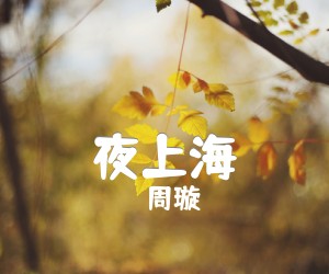 《夜上海吉他谱》_周璇_C调_吉他图片谱1张