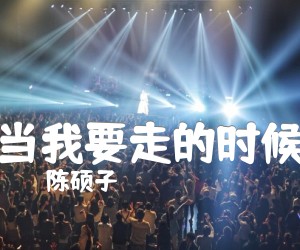 《当我要走的时候吉他谱》_陈硕子_C调_吉他图片谱2张
