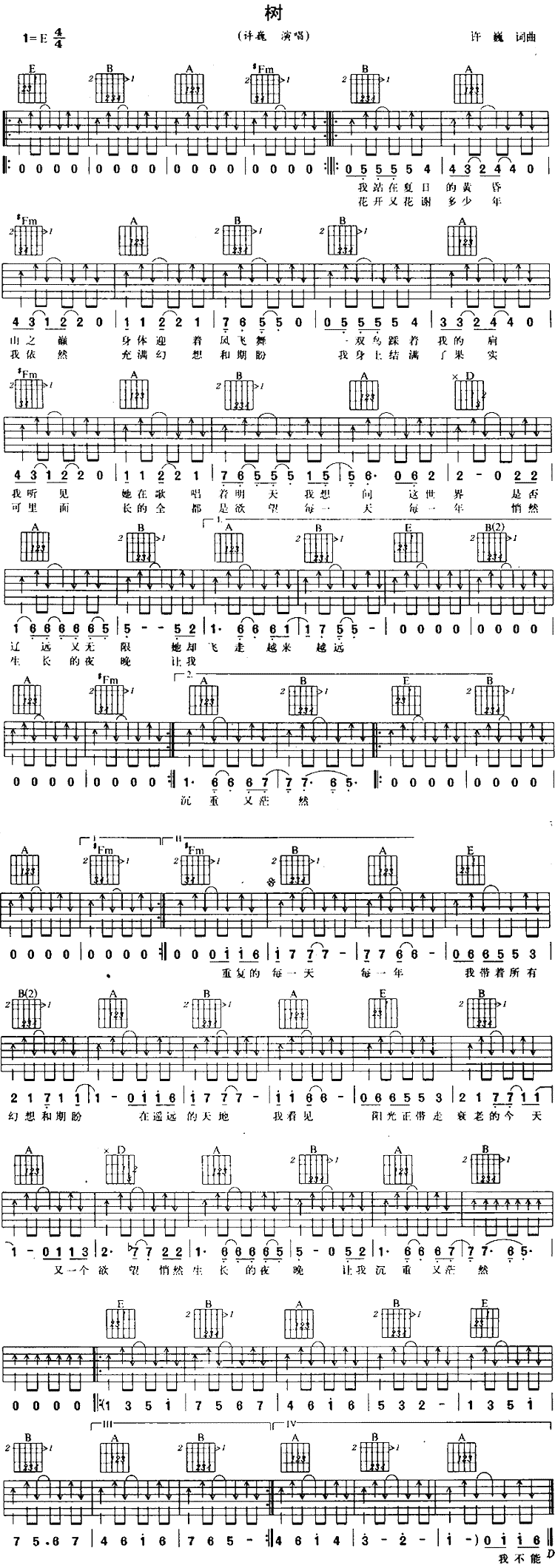 《树吉他谱》_许巍_E调 图一