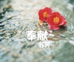 《奉献吉他谱》_苏芮_C调_吉他图片谱1张