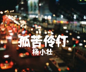 《孤苦伶仃吉他谱》_杨小壮_C调_吉他图片谱2张