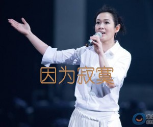 《因为寂寞吉他谱》_刘若英_未知调_吉他图片谱2张