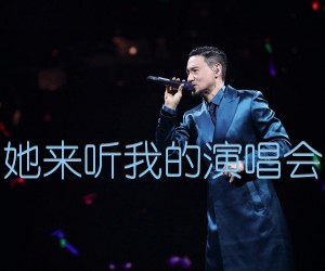 《她来听我的演唱会吉他谱》_张学友_G调_吉他图片谱2张