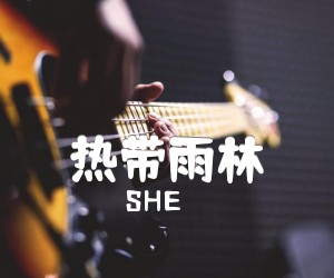 《热带雨林吉他谱》_SHE_C调_吉他图片谱2张