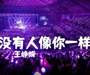 《没有人像你一样吉他谱》_王峥嵘_G调_吉他图片谱3张