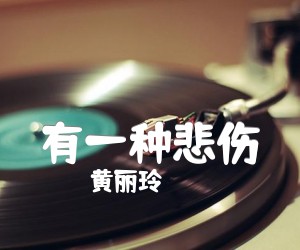 《有一种悲伤吉他谱》_黄丽玲_C调_吉他图片谱2张