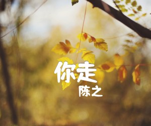 《你走吉他谱》_陈之_E调_吉他图片谱1张