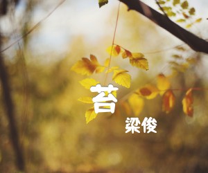 《苔吉他谱》_梁俊_D调_吉他图片谱3张