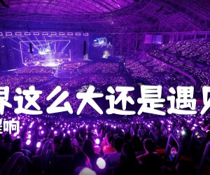 《世界这么大还是遇见你吉他谱》_程响_C调_吉他图片谱2张