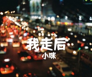 《我走后吉他谱》_小咪_C调_吉他图片谱3张