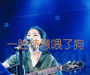 《一腔诗意喂了狗吉他谱》_花粥_A调_吉他图片谱1张