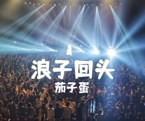 《浪子回头吉他谱》_茄子蛋_C调_吉他图片谱4张