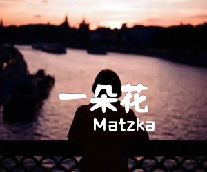 《一朵花吉他谱》_Matzka_C调_吉他图片谱1张
