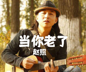 《当你老了吉他谱》_赵照_C调_吉他图片谱1张