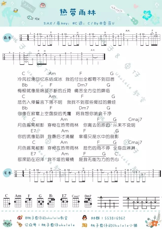 热带雨林吉他谱,原版歌曲,简单C调弹唱教学,六线谱指弹简谱1张图