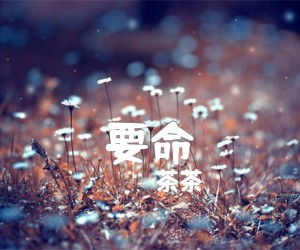 《要命吉他谱》_茶茶_G调_吉他图片谱2张