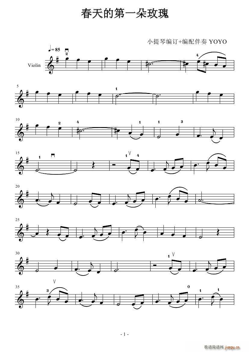 春天第一朵玫瑰简谱小提琴版,五线谱,初学者独奏曲谱曲子