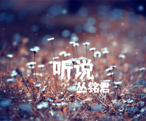 《听说吉他谱》_丛铭君_C调_吉他图片谱2张