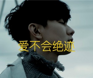 《爱不会绝迹吉他谱》_林俊杰_C调_吉他图片谱2张