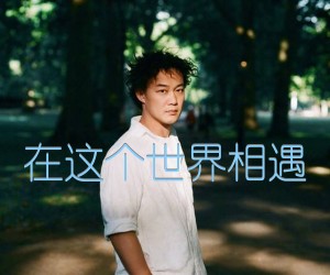 《在这个世界相遇吉他谱》_陈奕迅_C调_吉他图片谱2张