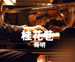 《桂花巷吉他谱》_蒋明_未知调_吉他图片谱2张