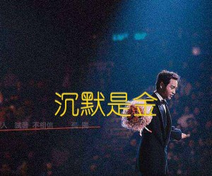 《沉默是金吉他谱》_张国荣_C调_吉他图片谱2张