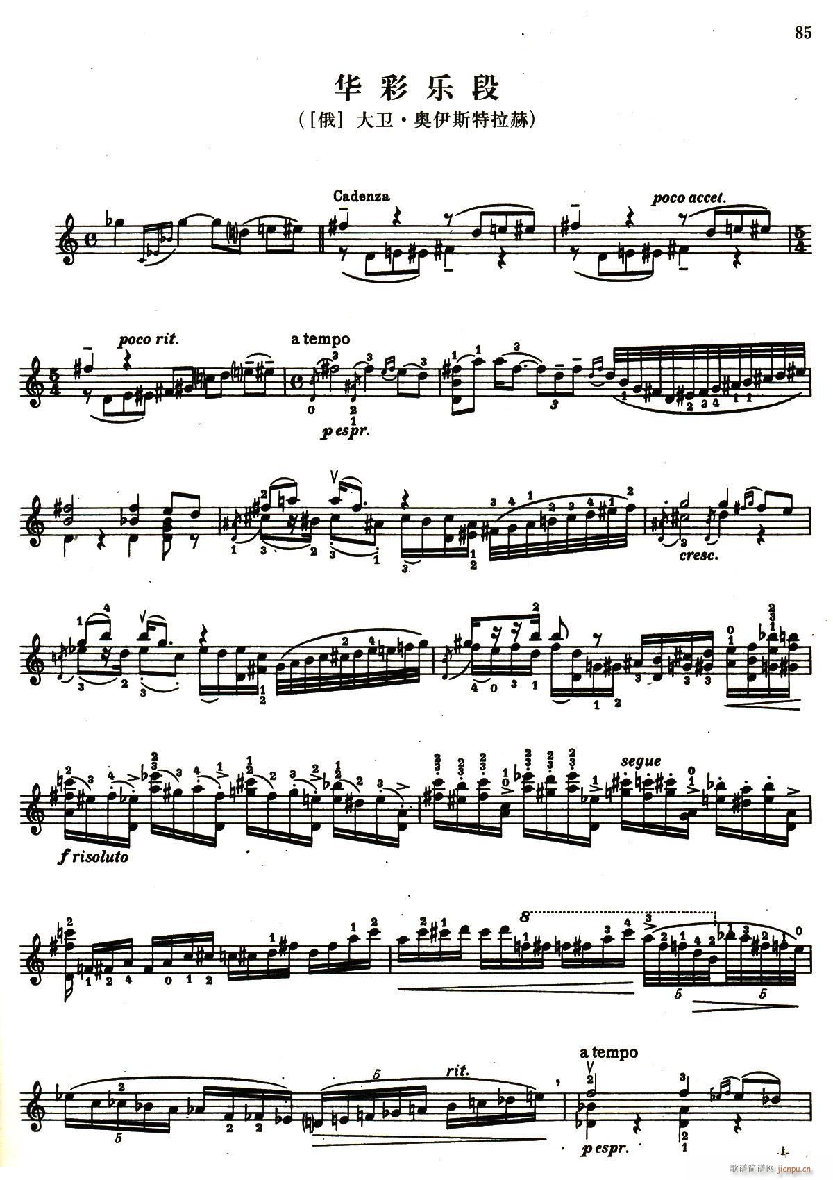 D小调小提琴协奏曲华彩乐段简谱小提琴版,五线谱,新手独奏曲谱完整版