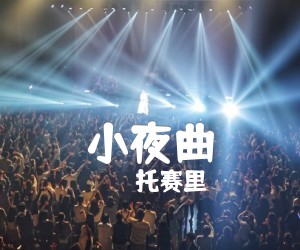 《小夜曲吉他谱》_托赛里_C调_吉他图片谱2张