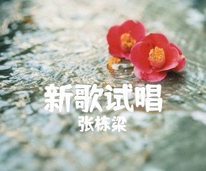 《新歌试唱吉他谱》_张栋梁_G调_吉他图片谱1张