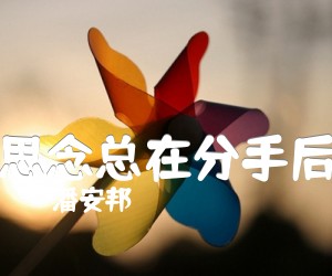 《思念总在分手后吉他谱》_潘安邦_C调_吉他图片谱2张
