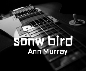 《sonw bird吉他谱》_Ann Murray_C调_吉他图片谱2张