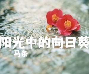 《阳光中的向日葵吉他谱》_马条_G调_吉他图片谱1张