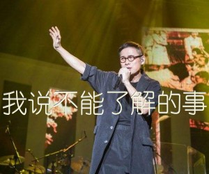 《我说不能了解的事吉他谱》_罗大佑_E调_吉他图片谱2张