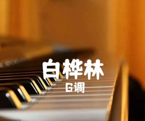 《白桦林吉他谱》_G调_G调_吉他图片谱2张