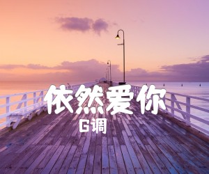 《依然爱你吉他谱》_G调_G调_吉他图片谱2张