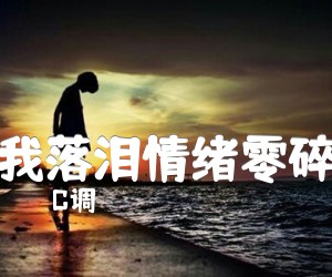 《我落泪情绪零碎吉他谱》_C调_C调_吉他图片谱2张