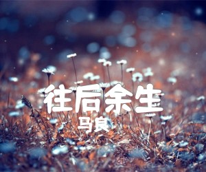 《往后余生吉他谱》_马良_D调_吉他图片谱3张