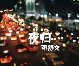 《夜归吉他谱》_邓舒文_G调_吉他图片谱1张