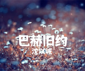 《巴赫旧约吉他谱》_沈以诚_C调_吉他图片谱3张