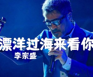 《漂洋过海来看你吉他谱》_李宗盛_C调_吉他图片谱2张