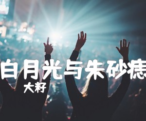 《白月光与朱砂痣吉他谱》_大籽_G调_吉他图片谱3张