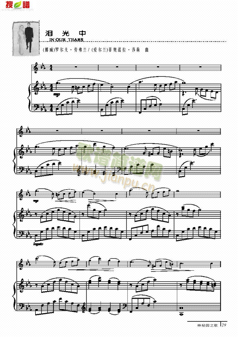 泪光中-钢伴谱弦乐类简谱小提琴版,初学者独奏曲谱曲子五线谱