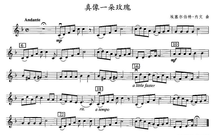 真像一朵玫瑰简谱小提琴版,五线谱,新手独奏曲谱曲子
