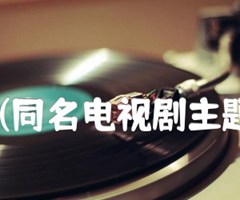 你潇洒我漂亮(同名电视剧主题歌) 二胡曲谱吉他谱_黄仁清_原版弹唱吉他简谱
