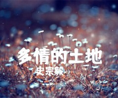 《多情的土地吉他谱》_史宗毅_G调_吉他图片谱1张