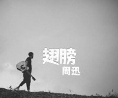 翅膀吉他谱_周迅_D调_原版指弹吉他简谱